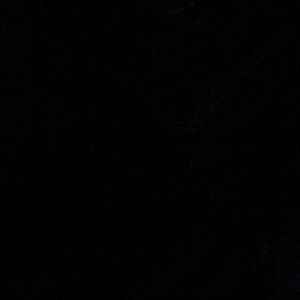 Meet your Posher, Hector